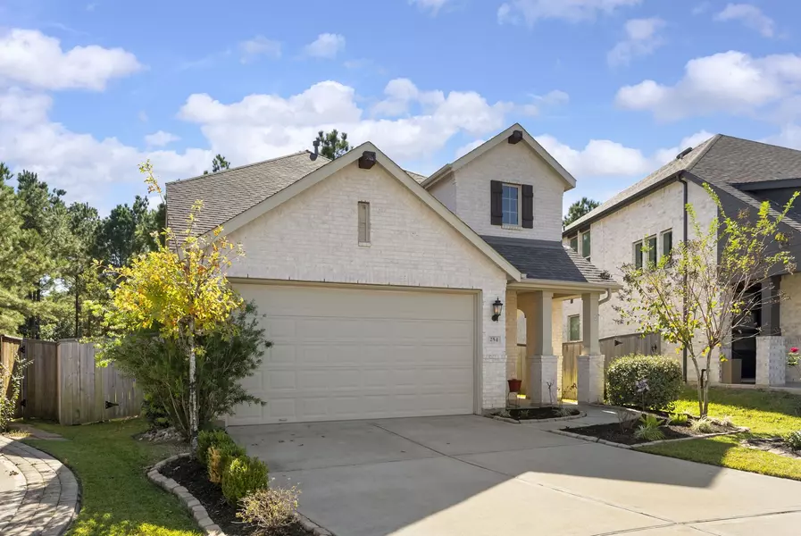 254 Aster View CT, Montgomery, TX 77316