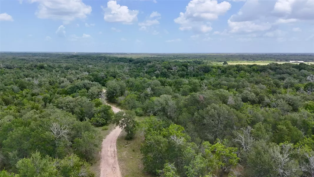 TBD Cr 420, Waelder, TX 78959