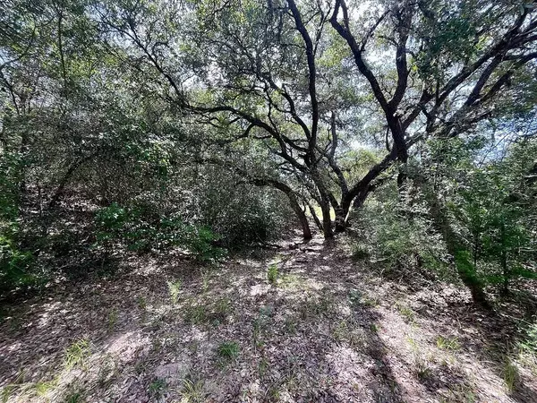 Sheridan, TX 77475,TBD Hwy 90A