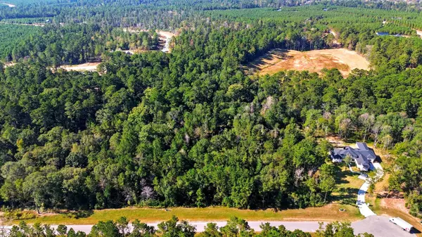 Willis, TX 77378,11518 Bramble CT