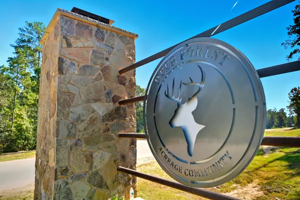 Willis, TX 77378,11518 Bramble CT