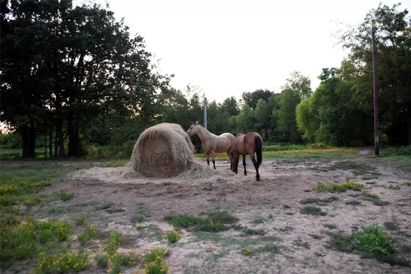 Grapeland, TX 75844,383 County Road 1875