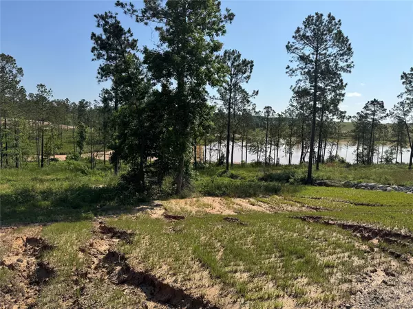 Livingston, TX 77351,TBD Western RD