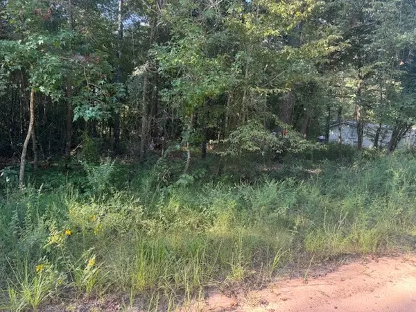 0 L C Herschap LN, Livingston, TX 77351