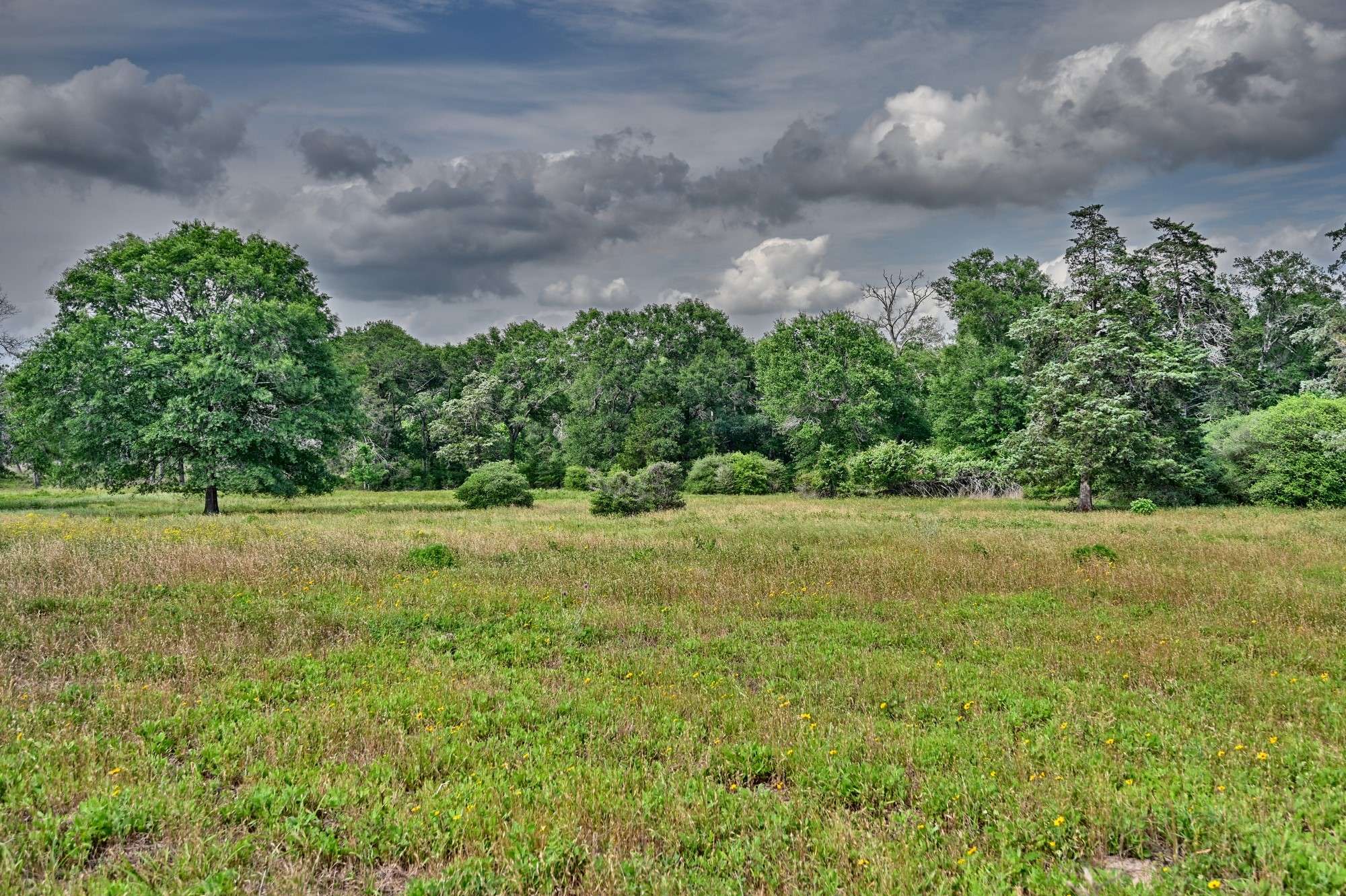 17718 Tranquil LN, Cat Spring, TX 78933