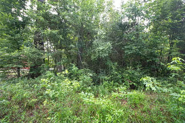 Goodrich, TX 77335,TBD Magnolia RD