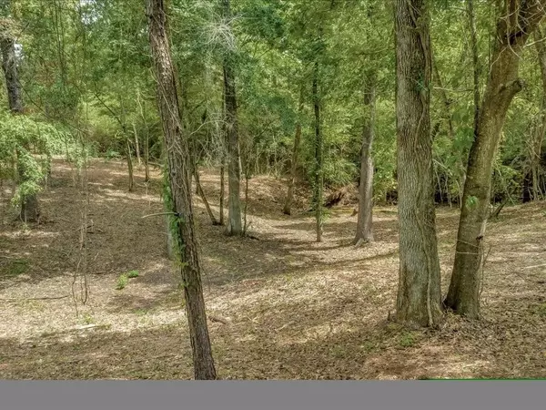 TBD Sharon LN,  Livingston,  TX 77351