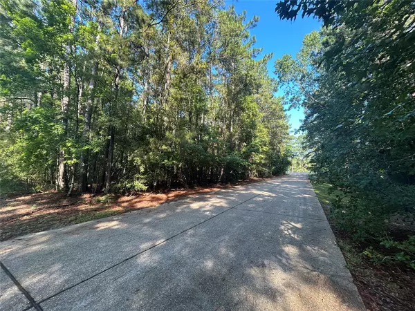 Woodville, TX 75979,LOT 16 Force ST