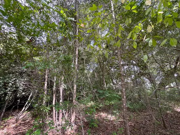 Silsbee, TX 77656,2542 Pine Park RD