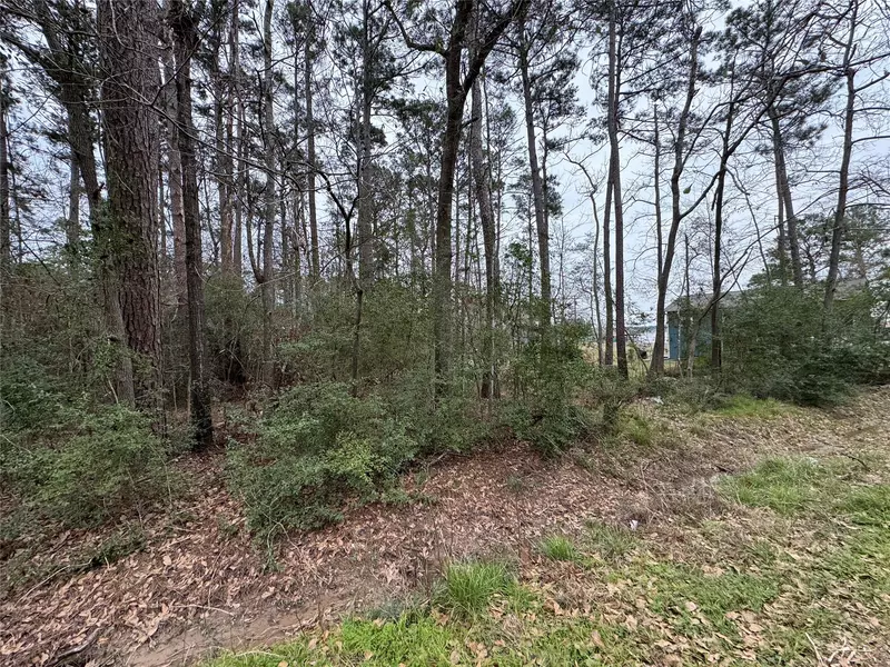 Lot 105 Whisperwood DR, Onalaska, TX 77360