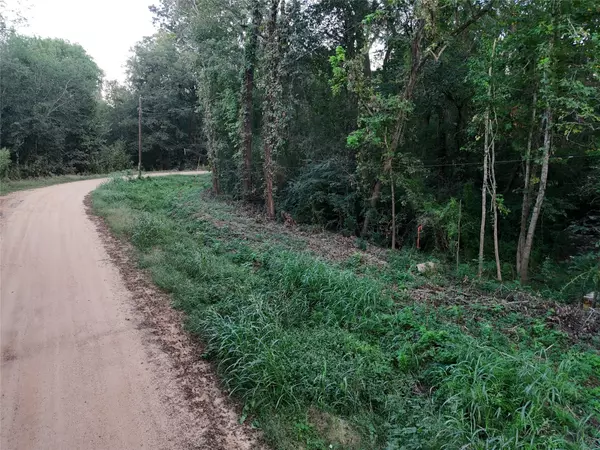 Coldspring, TX 77331,TBD River ST