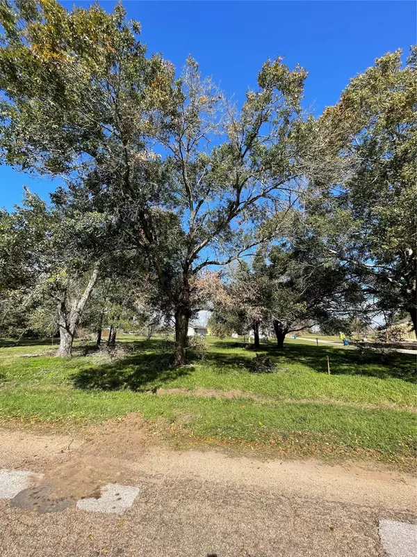 Hempstead, TX 77445,1400 Shepard ST