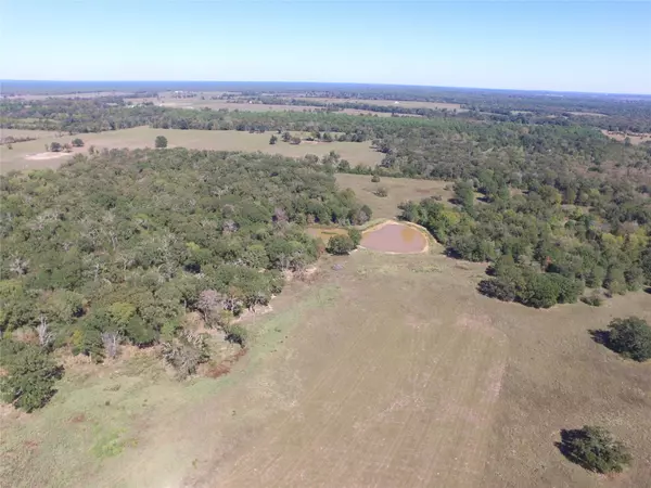 Crockett, TX 75835,745 Fm 2967