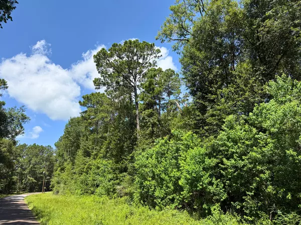 Navasota, TX 77868,0 County Road 344