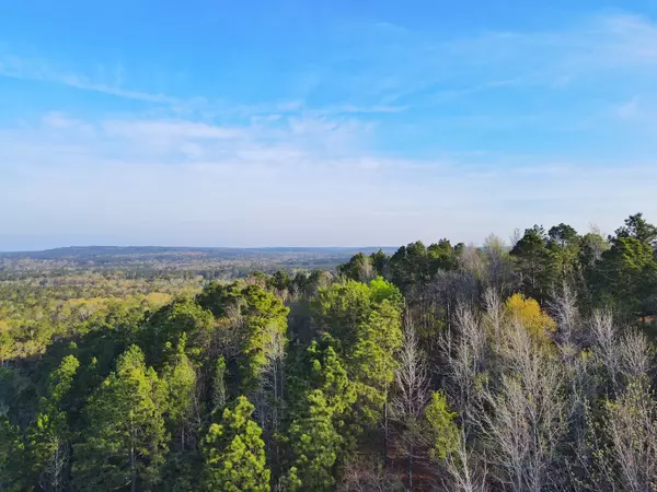 Rusk, TX 75785,99 ac CR 2107