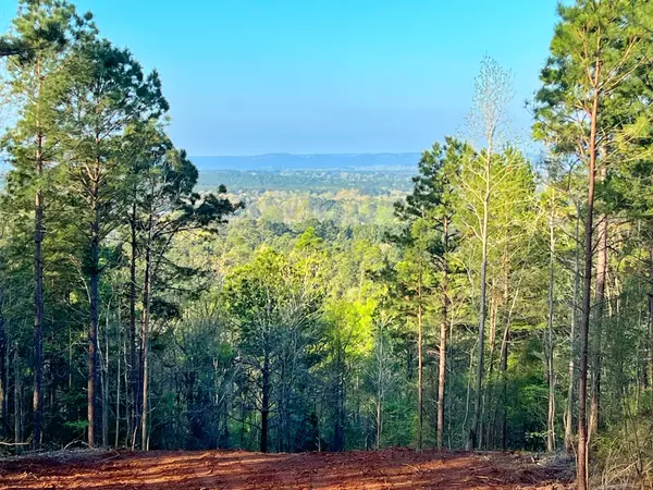 99 ac CR 2107, Rusk, TX 75785
