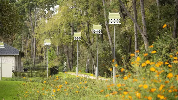 Magnolia, TX 77354,14890 Whistling Duck LN