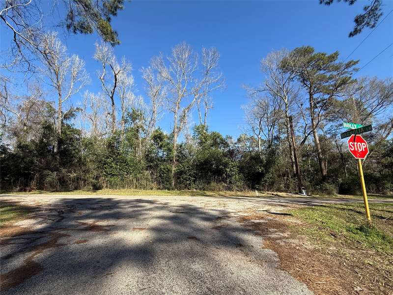 21927 Holly Lane, New Caney, TX 77357