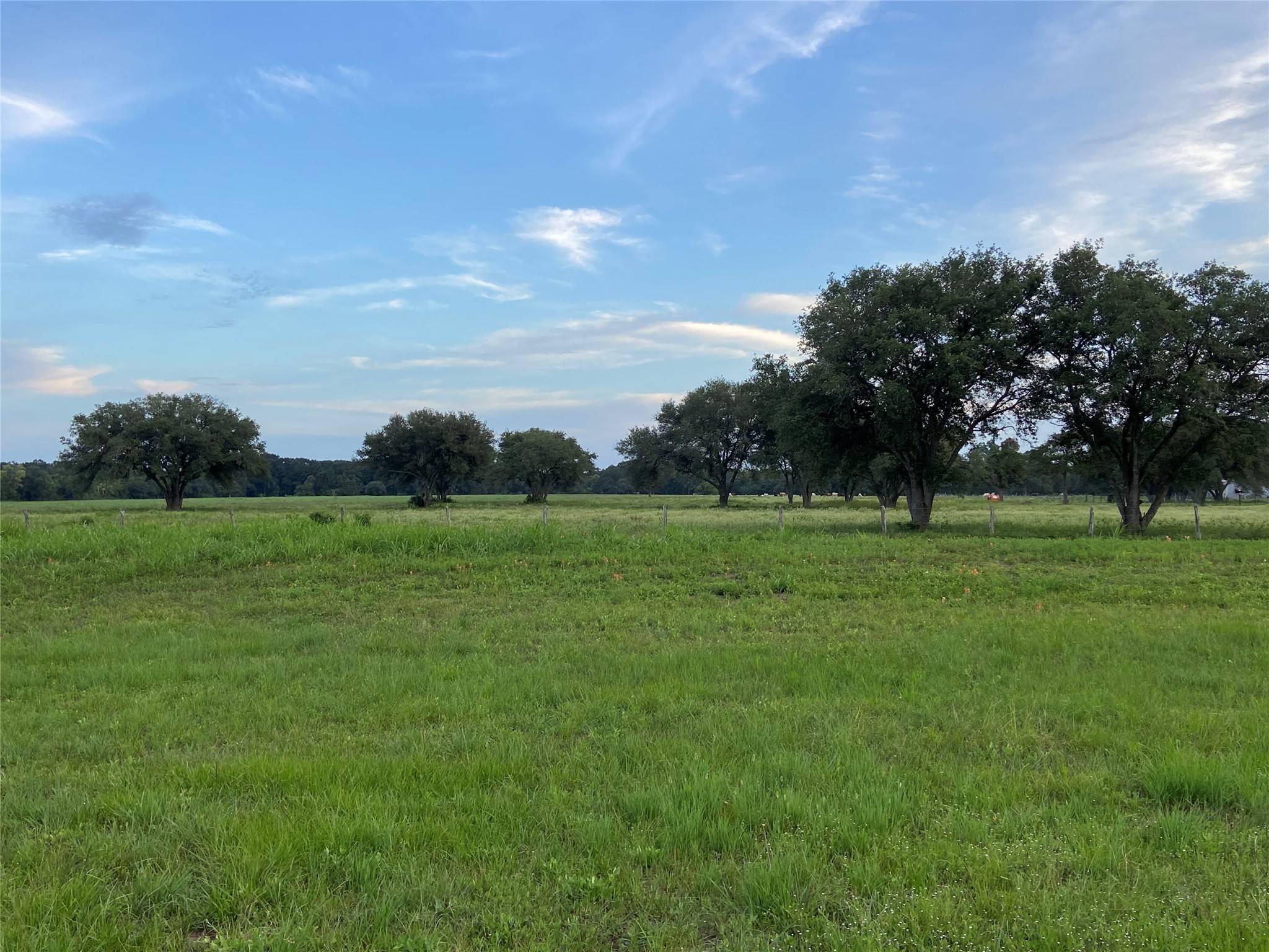 TBD #2 W FM  1093, Wallis, TX 77485