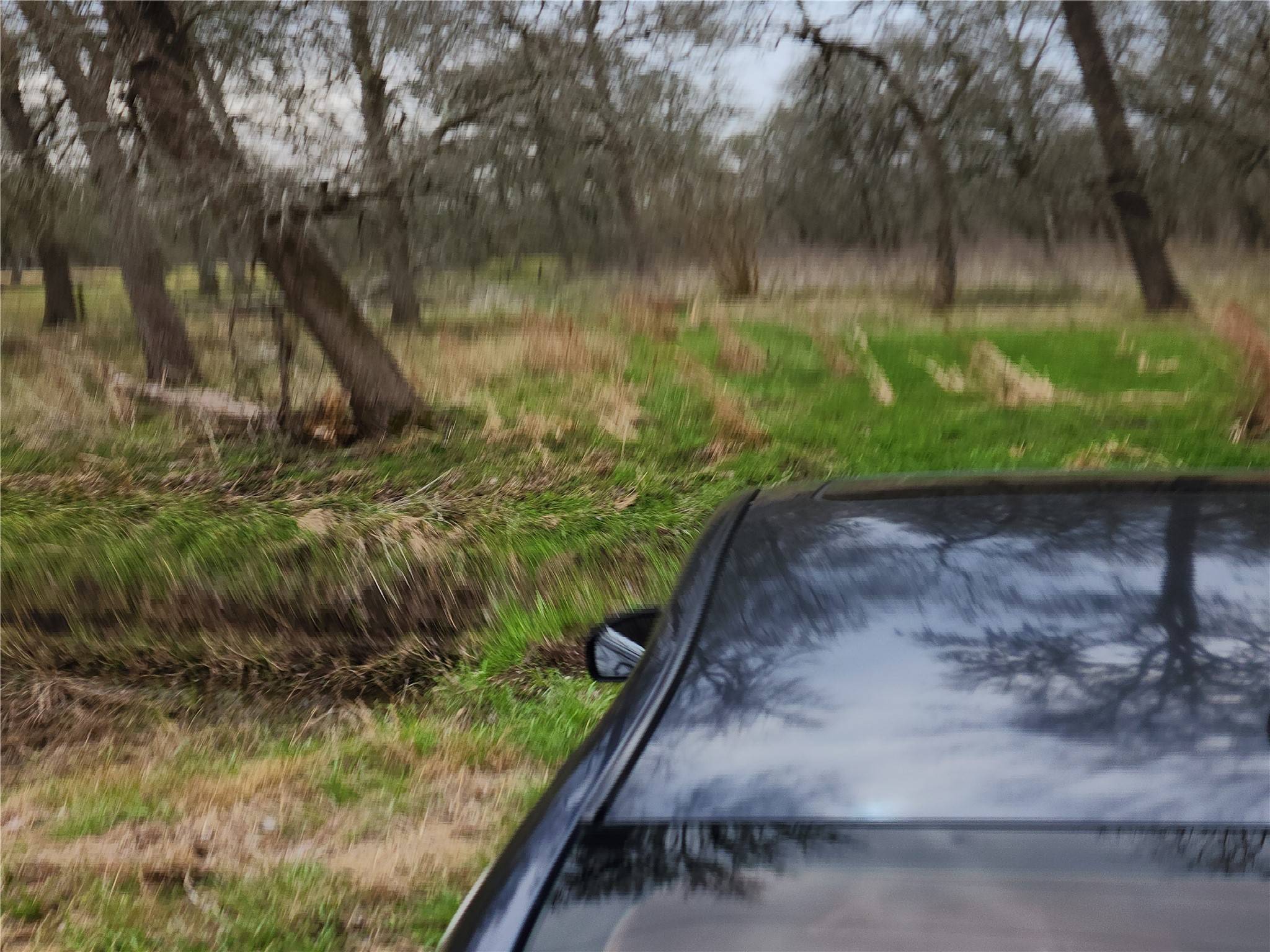 Needville, TX 77461,15530 Tierra Grande DR