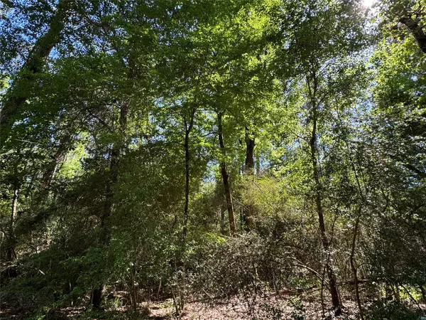 Trinity, TX 75862,28 Laurel Oak