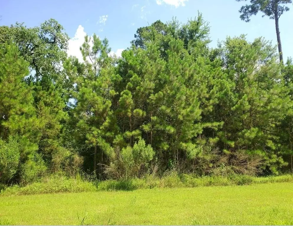 Humble, TX 77346,69 Kings Lake Estates BLVD