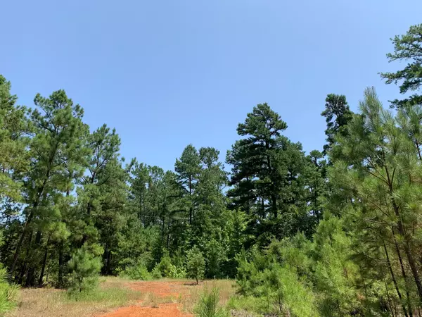 Rusk, TX 75785,577 County Rd 2323