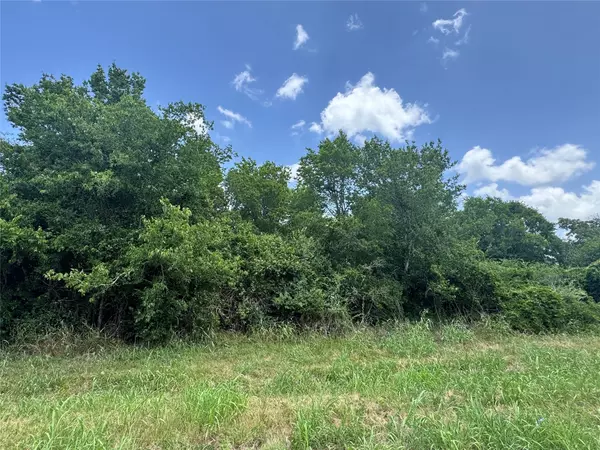 TBD Caldwell ST, Paige, TX 78659