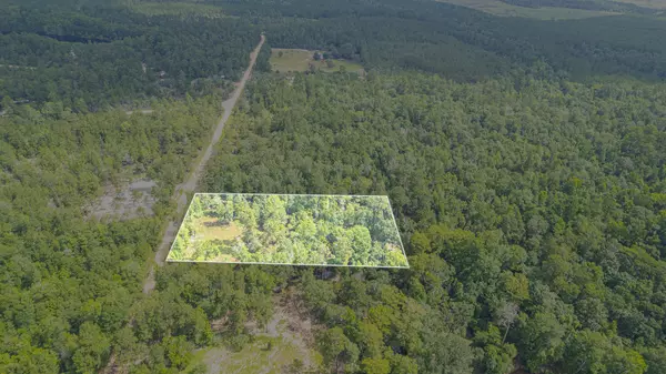 Village Mills, TX 77663,0 Dammon LN