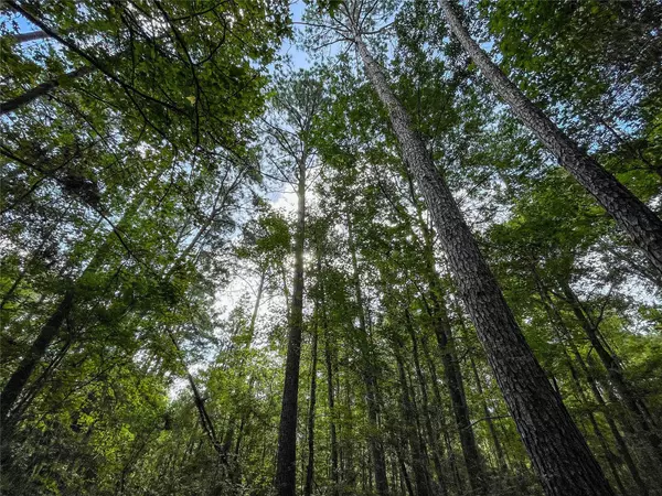 Woodville, TX 75979,TBD Peyton Ln