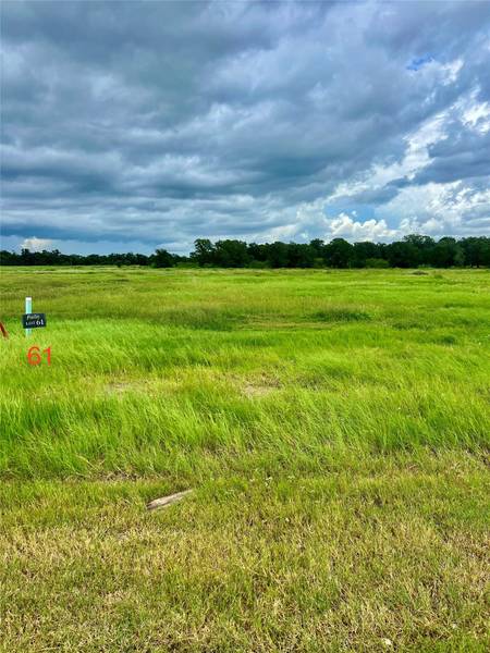 724 Lake Day DR, Somerville, TX 77879