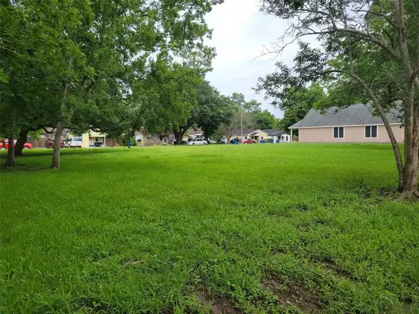 Rosenberg, TX 77471,508 Brazos ST