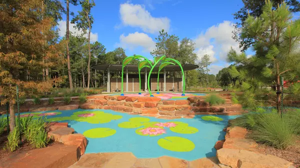 Conroe, TX 77302,18415 Chameleon CT