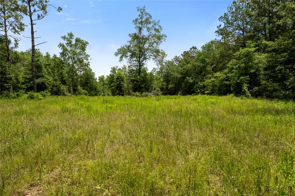 Cleveland, TX 77328,4578 N Duck Creek RD