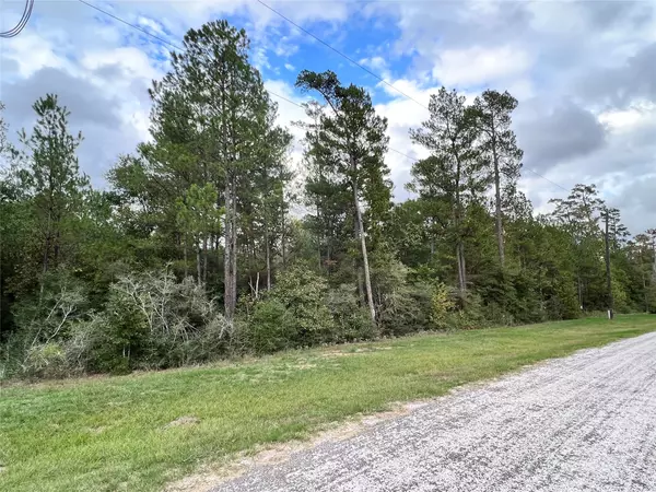 Huntsville, TX 77340,0 Hereford TRL