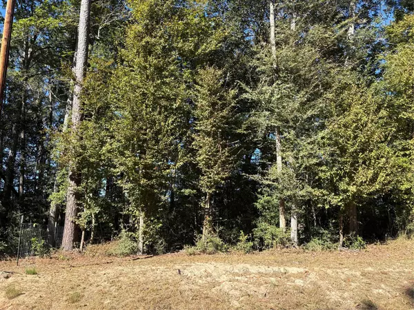 0000 L C Herschap LN, Livingston, TX 77351