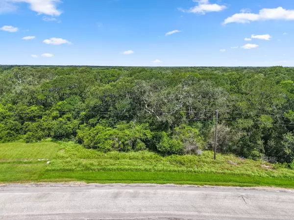 Blessing, TX 77419,11 River Hollow WAY
