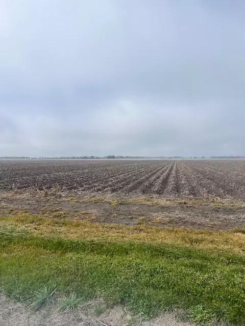 TBD County Road 359,  Louise,  TX 77455