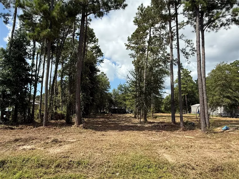 72 County Road 3543, Cleveland, TX 77327