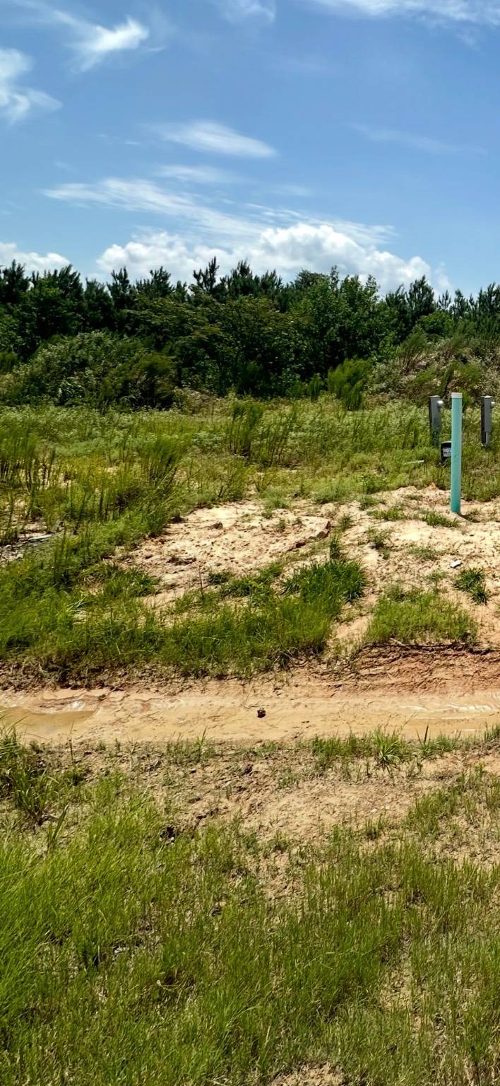 Cleveland, TX 77327,1195 Road 5705
