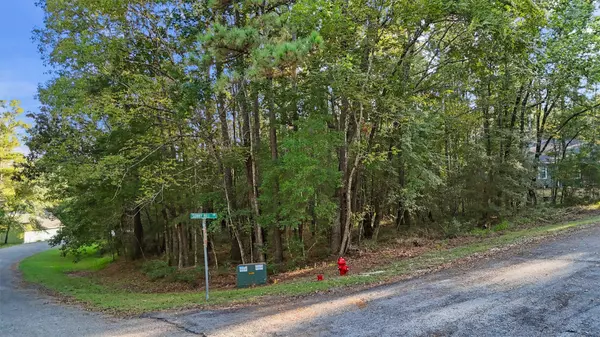 Coldspring, TX 77331,179 Green Tree DR