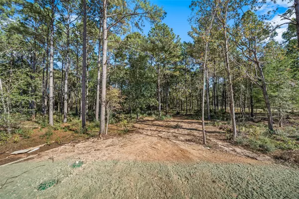 Willis, TX 77378,11332 Annie Creek DR