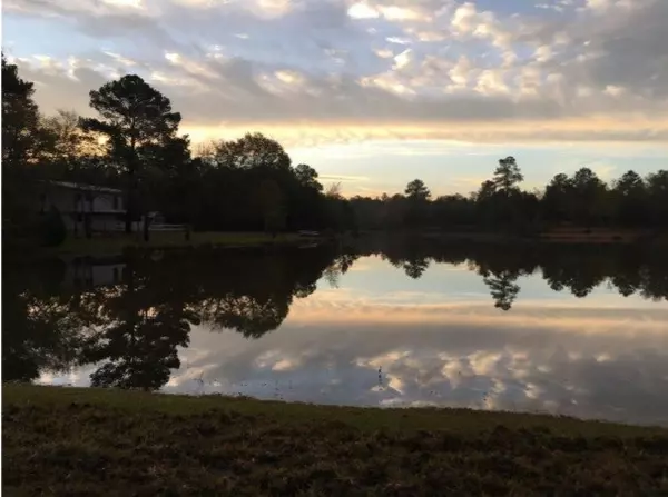 Hempstead, TX 77445,Lot 12 Lakeshore DR