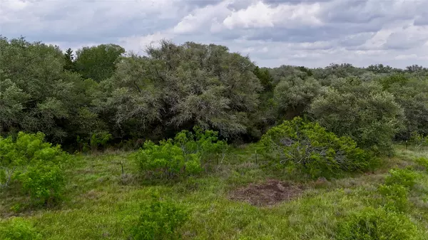 Flatonia, TX 78941,TBD Tract 1 N State Highway 95