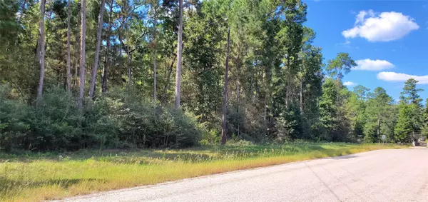 0 Cougar CT, Huntsville, TX 77340