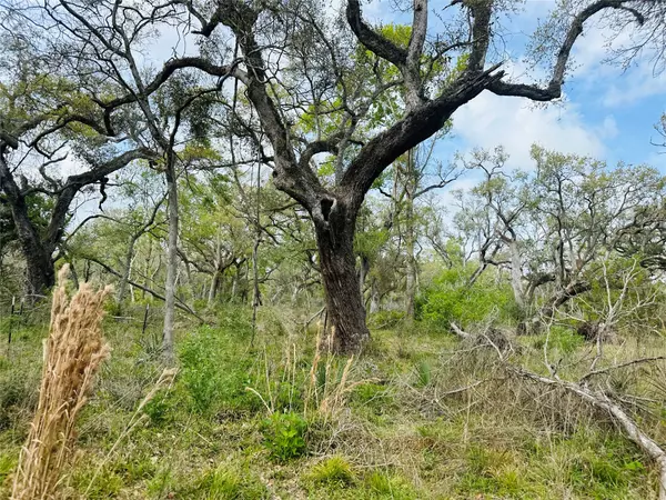 Bay City, TX 77414,Tract 5-6 Private Road 648 ST