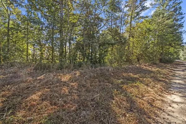 Livingston, TX 77351,431 Gray Coat