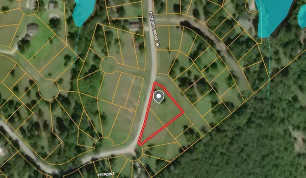 20 Scenic Wood DR, Coldspring, TX 77331