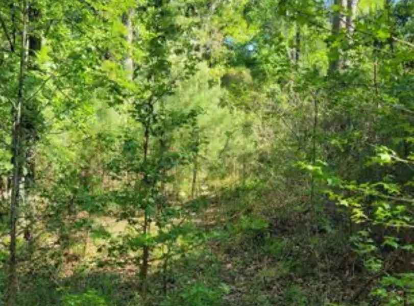 0 Winding Creek Dr, Trinity, TX 75862