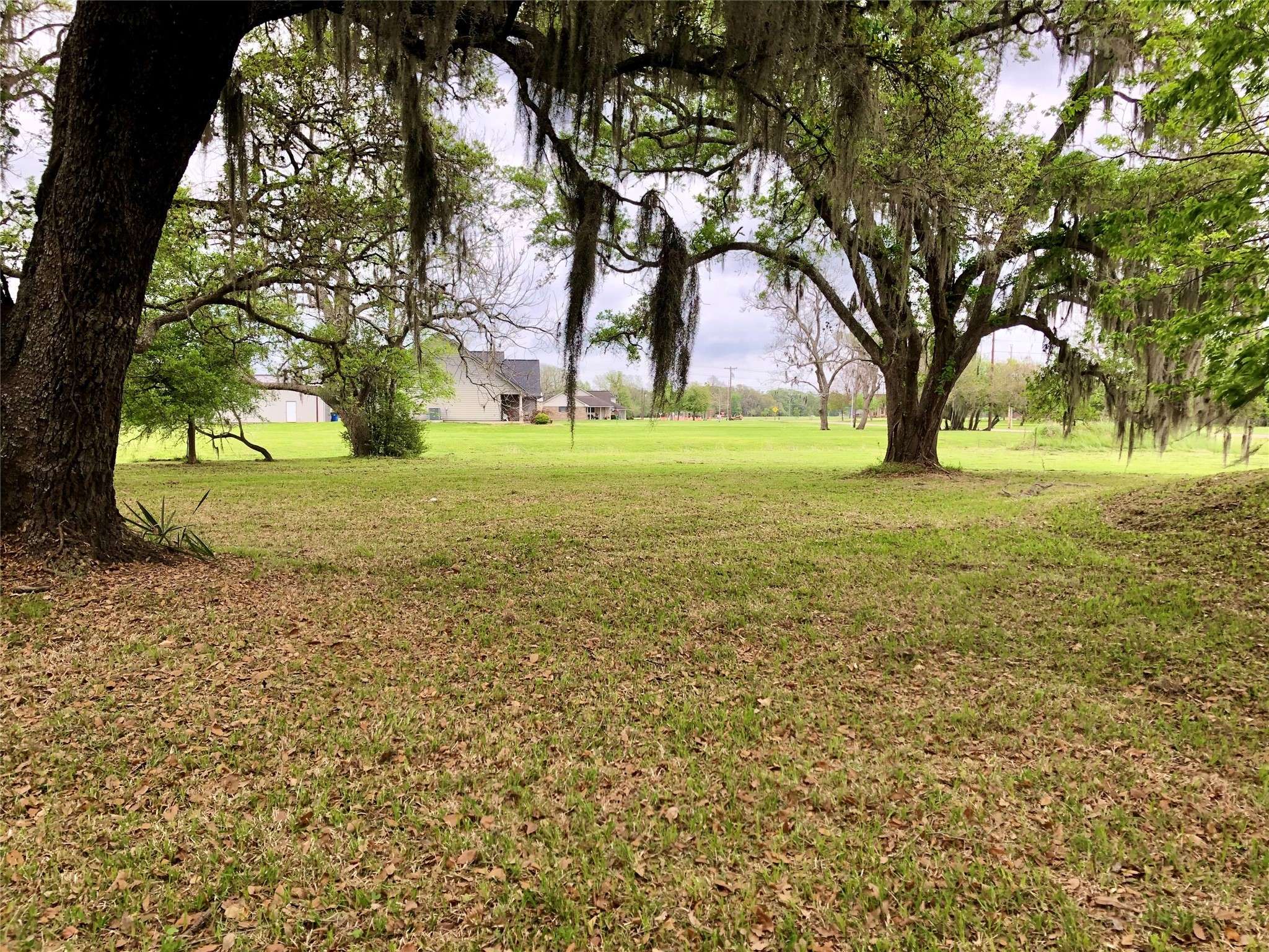 Angleton, TX 77515,908 Winchester TRL